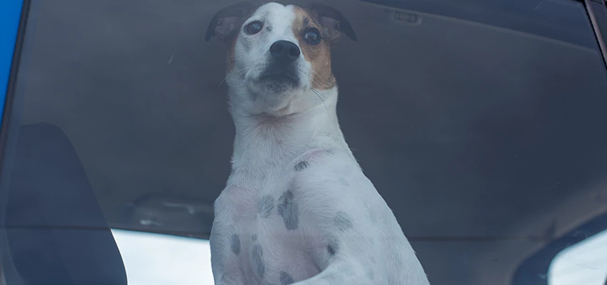 Car Lockout Solutions in Tulare, California